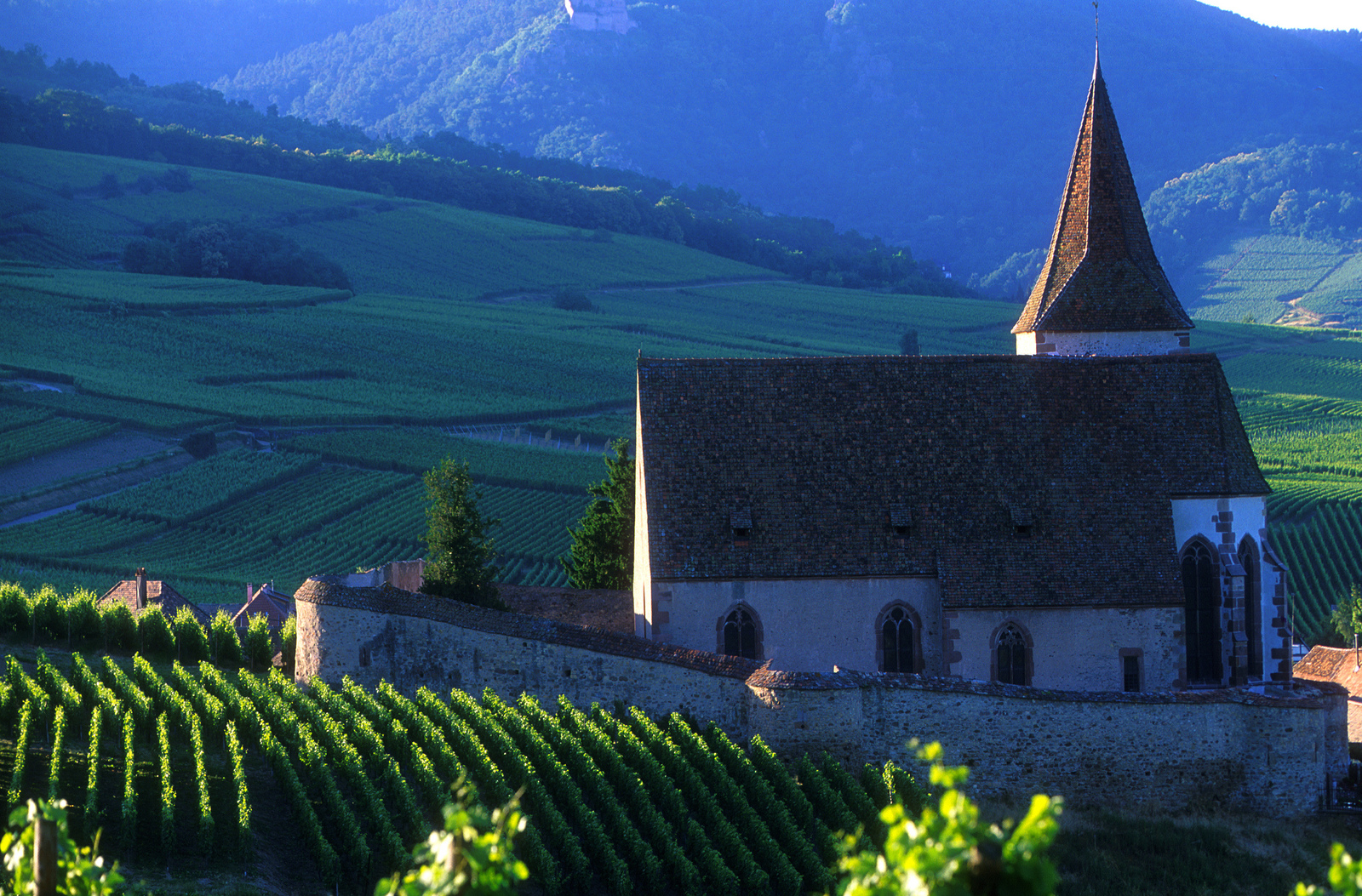 Alsace Wine Route from Strasbourg to Colmar